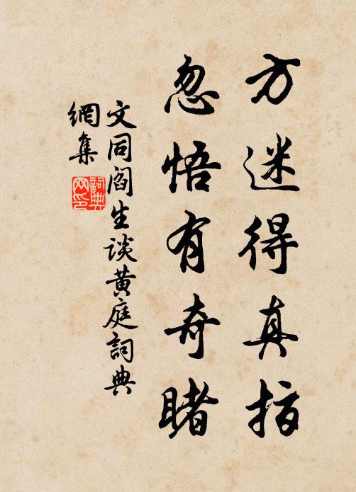 文同方迷得真指，忽悟有奇睹书法作品欣赏
