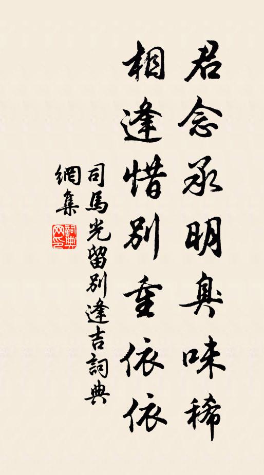 司马光君念承明臭味稀，相逢惜别重依依书法作品欣赏