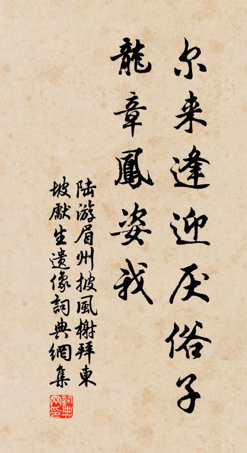 陆游尔来逢迎厌俗子，龙章凤姿我书法作品欣赏