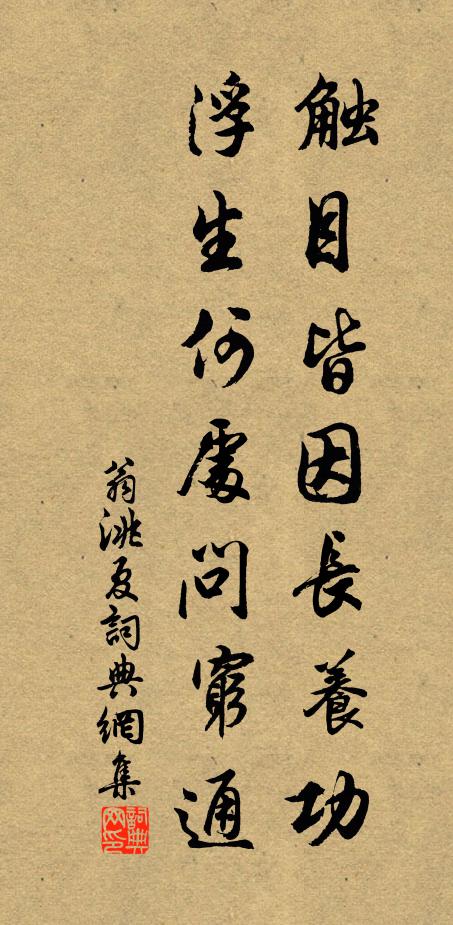 翁洮触目皆因长养功，浮生何处问穷通书法作品欣赏