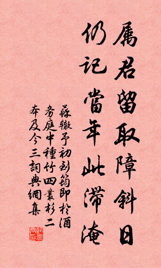 苏辙属君留取障斜日，仍记当年此滞淹书法作品欣赏