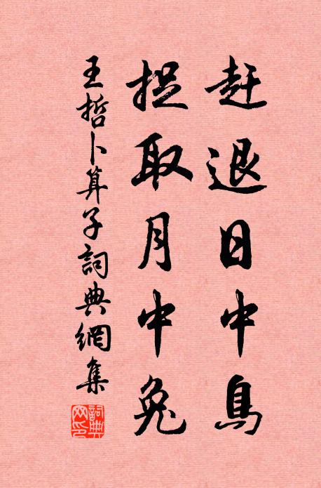 王哲赶退日中鸟，捉取月中兔书法作品欣赏