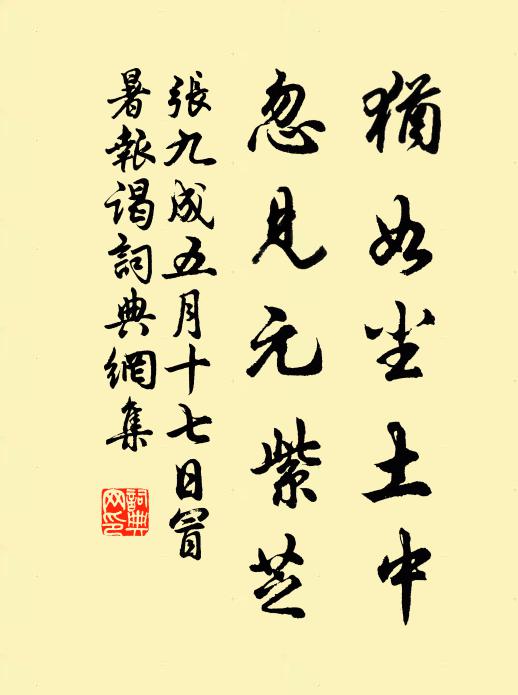 张九成犹如尘土中，忽见元紫芝书法作品欣赏