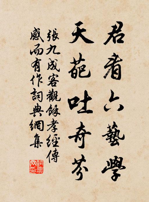 张九成君看六艺学，天葩吐奇芬书法作品欣赏