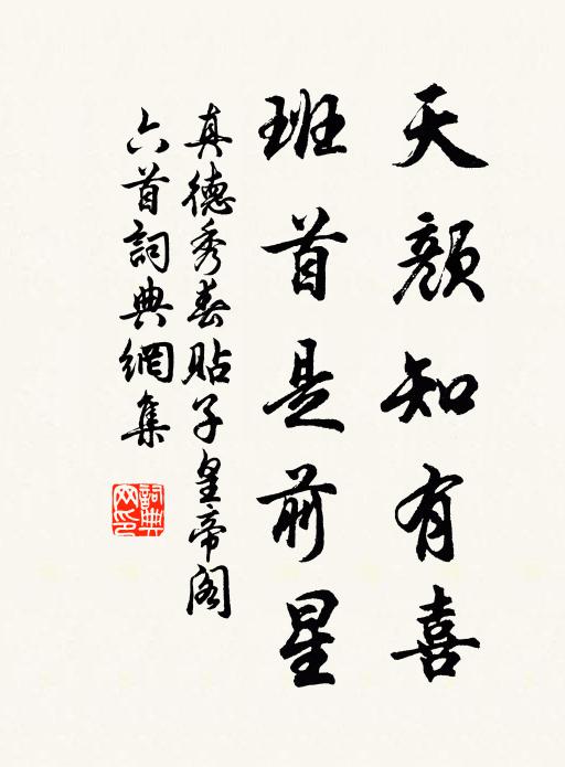 真德秀天颜知有喜，班首是前星书法作品欣赏