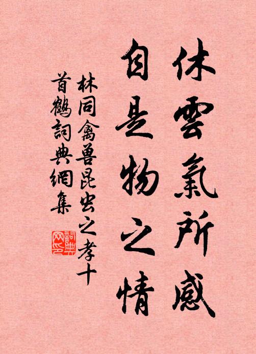 林同休云气所感，自是物之情书法作品欣赏