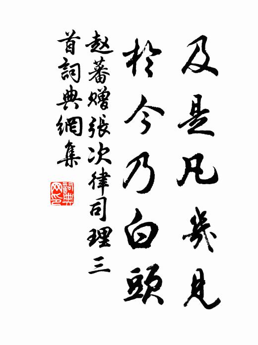 赵蕃及是凡几见，于今乃白头书法作品欣赏