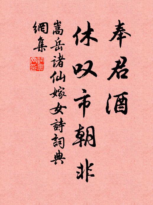 嵩岳诸仙奉君酒,休叹市朝非书法作品欣赏