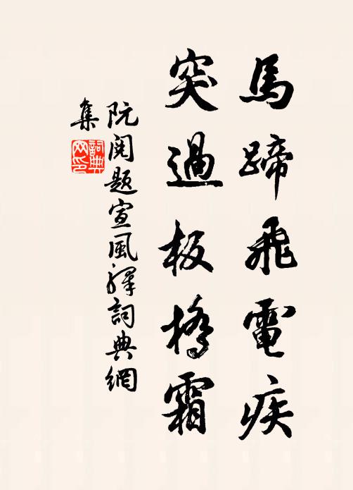 阮阅马蹄飞电疾，突过板桥霜书法作品欣赏