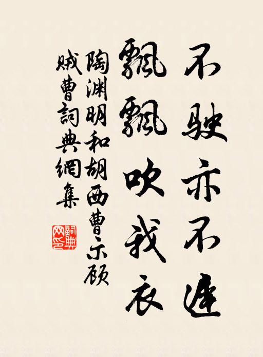 陶渊明不驶亦不迟，飘飘吹我衣书法作品欣赏