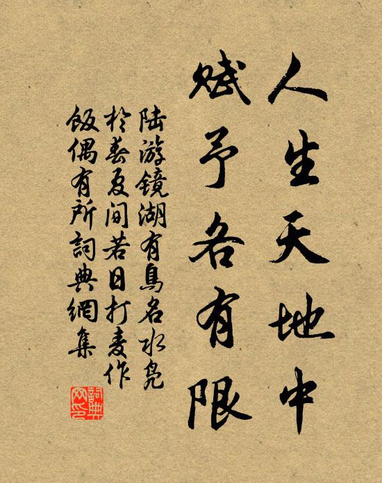 陆游人生天地中，赋予各有限书法作品欣赏