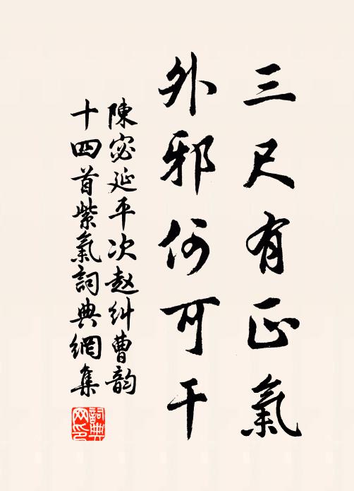 陈宓三尺有正气，外邪何可干书法作品欣赏