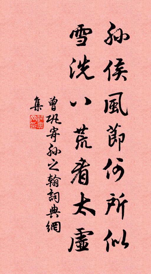 曾巩孙侯风节何所似，雪洗八荒看太虚书法作品欣赏