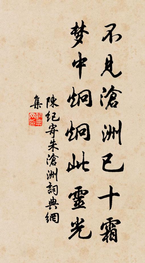 陈纪不见沧洲已十霜，梦中炯炯此灵光书法作品欣赏