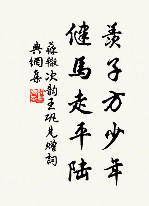 苏辙羡子方少年，健马走平陆书法作品欣赏
