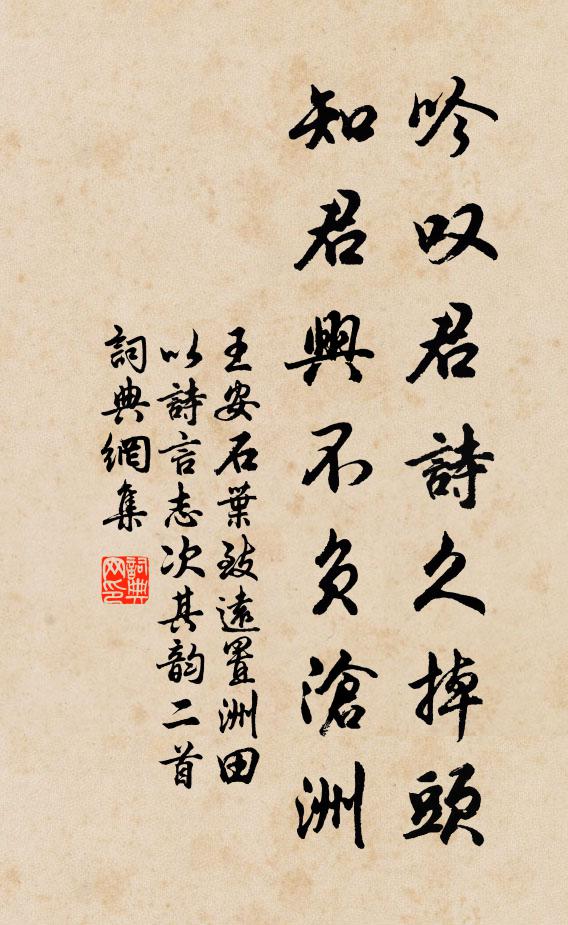 王安石吟叹君诗久掉头，知君兴不负沧洲书法作品欣赏
