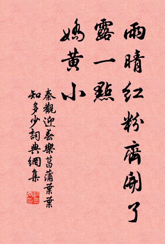 秦观雨晴红粉齐开了，露一点、娇黄小书法作品欣赏