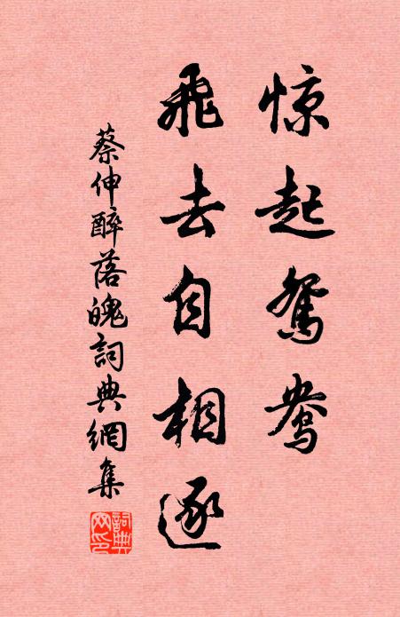 蔡伸惊起鸳鸯,飞去自相逐书法作品欣赏