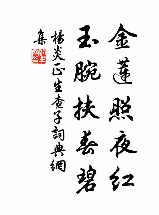 杨炎正金莲照夜红，玉腕扶春碧书法作品欣赏