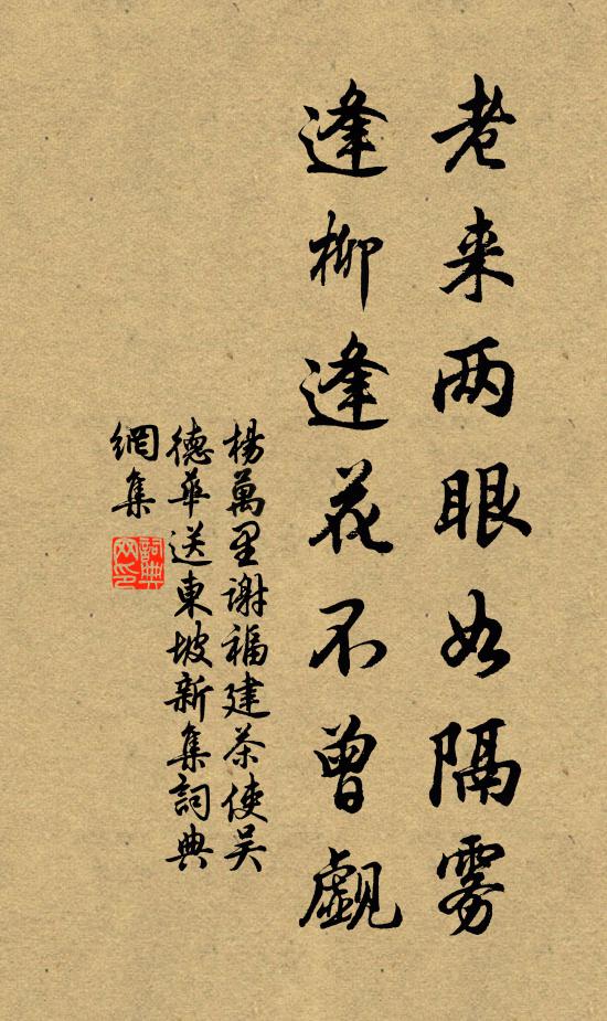 杨万里老来两眼如隔雾，逢柳逢花不曾觑书法作品欣赏