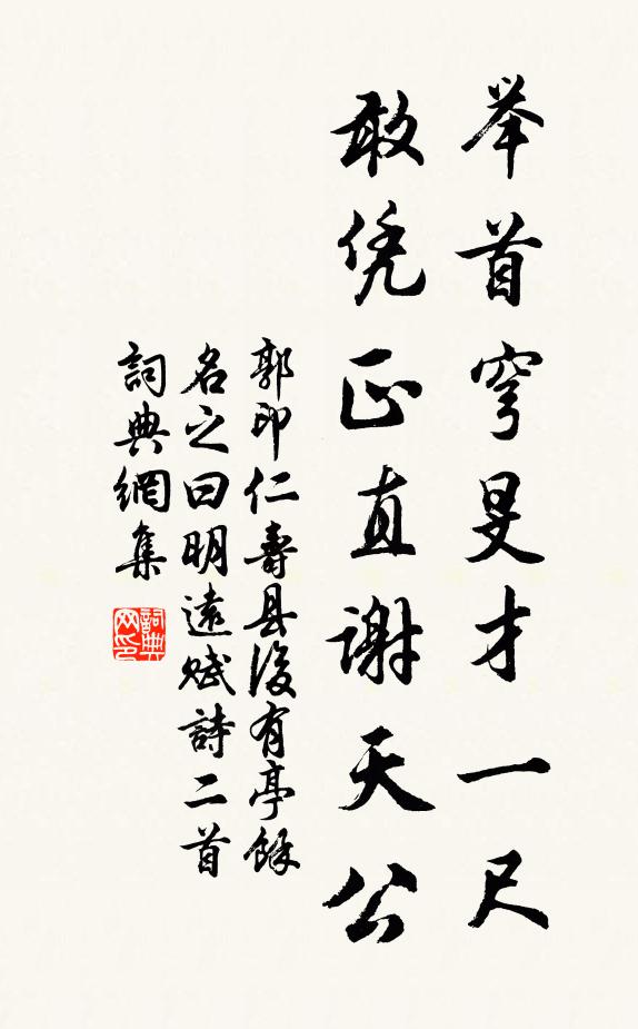 郭印举首穹旻才一尺，敢凭正直谢天公书法作品欣赏