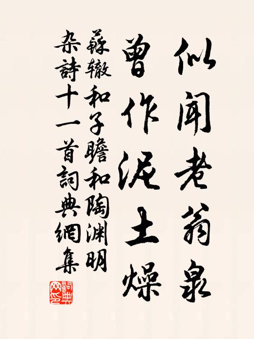 苏辙似闻老翁泉，曾作泥土燥书法作品欣赏