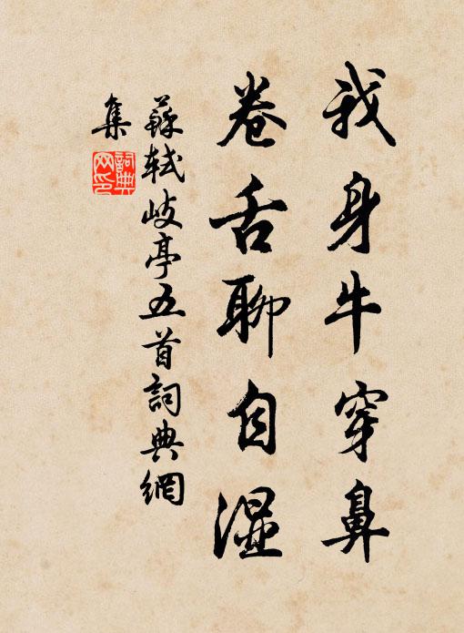 苏轼我身牛穿鼻，卷舌聊自湿书法作品欣赏
