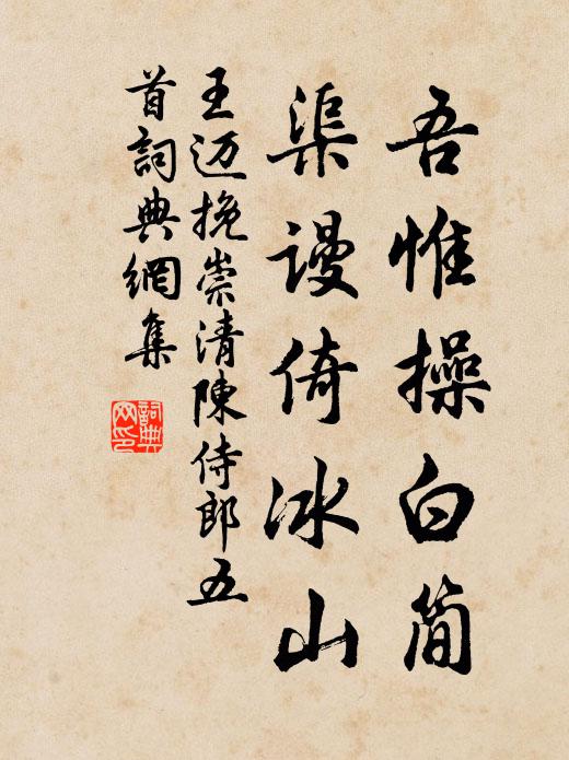 王迈吾惟操白简，渠谩倚冰山书法作品欣赏