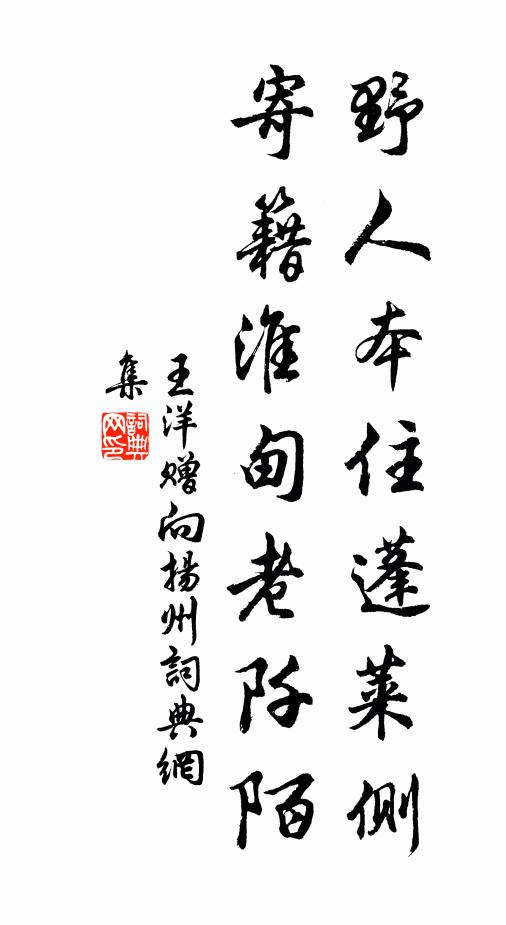 王洋野人本住蓬莱侧，寄籍淮甸老阡陌书法作品欣赏