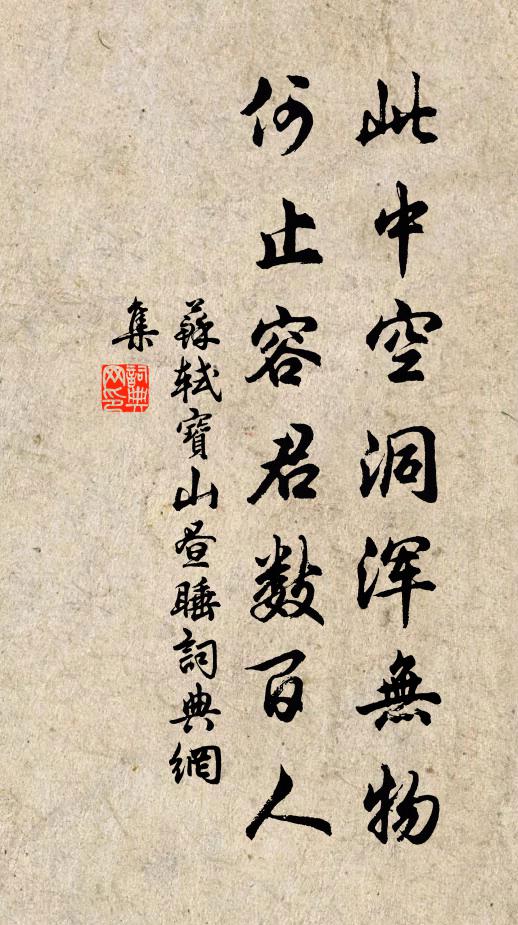 苏轼此中空洞浑无物，何止容君数百人书法作品欣赏