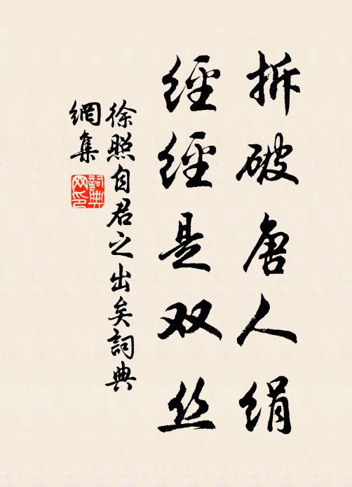 徐照拆破唐人绢，经经是双丝书法作品欣赏