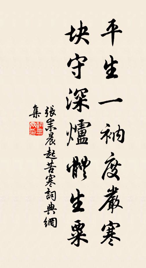 张耒平生一衲度严寒，块守深炉体生粟书法作品欣赏