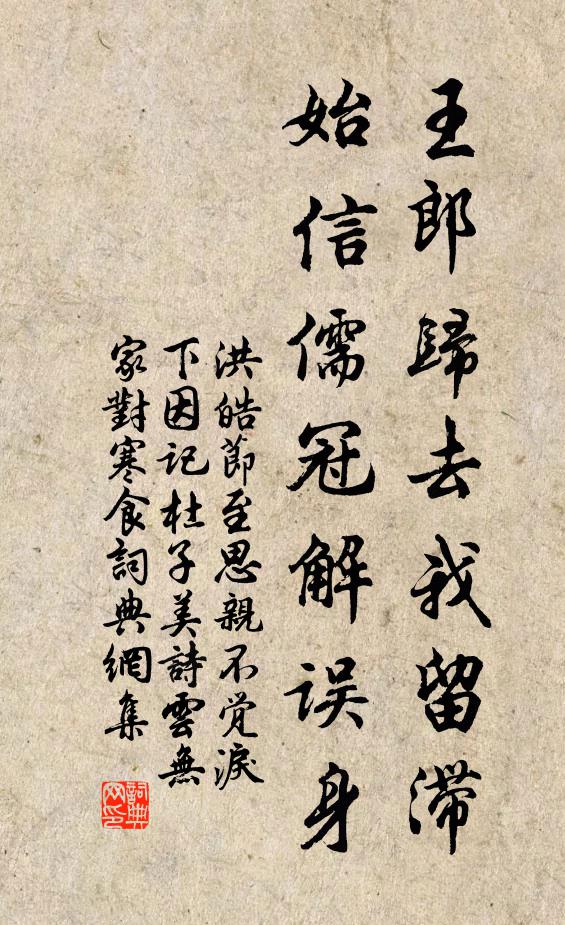 洪皓王郎归去我留滞，始信儒冠解误身书法作品欣赏