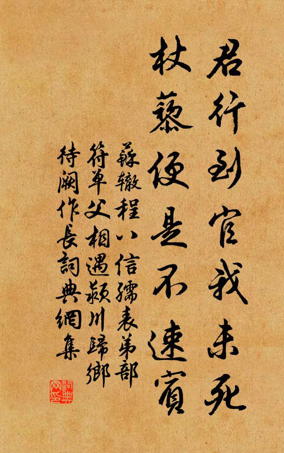 苏辙君行到官我未死，杖藜便是不速宾书法作品欣赏
