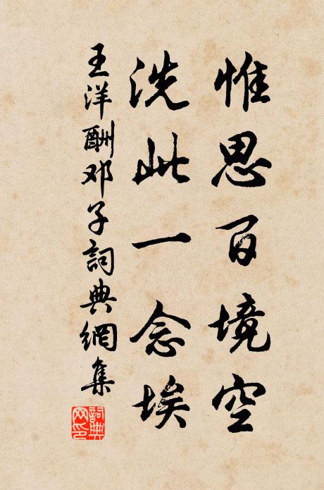 王洋惟思百境空，洗此一念埃书法作品欣赏