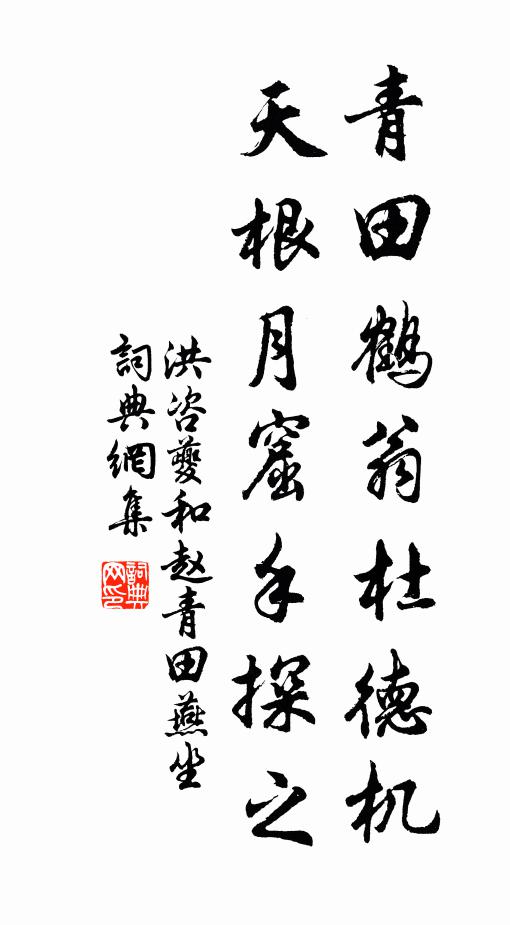 洪咨夔青田鹤翁杜德机，天根月窟手探之书法作品欣赏