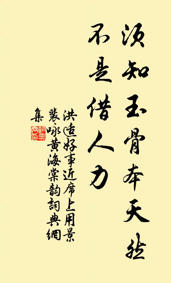 洪适须知玉骨本天然，不是借人力书法作品欣赏