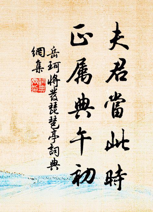 岳珂夫君当此时，正属典午初书法作品欣赏