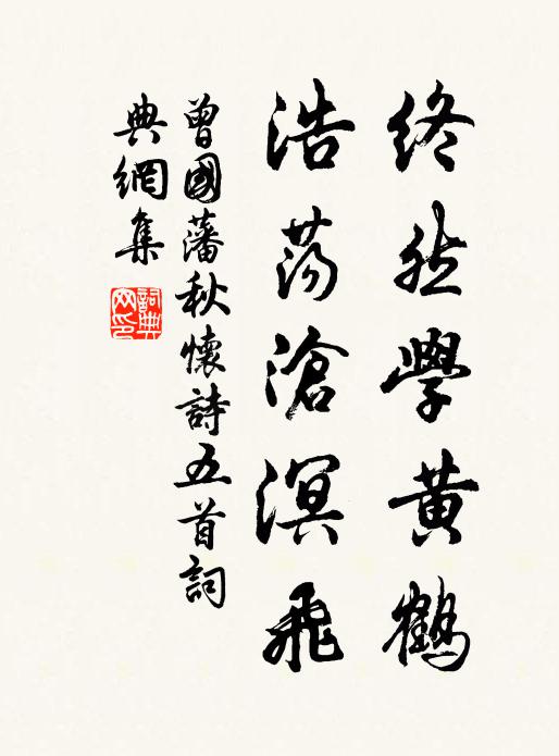 曾国藩终然学黄鹤，浩荡沧溟飞书法作品欣赏