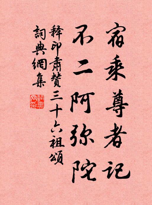 释印肃宿乘尊者记，不二阿弥陀书法作品欣赏