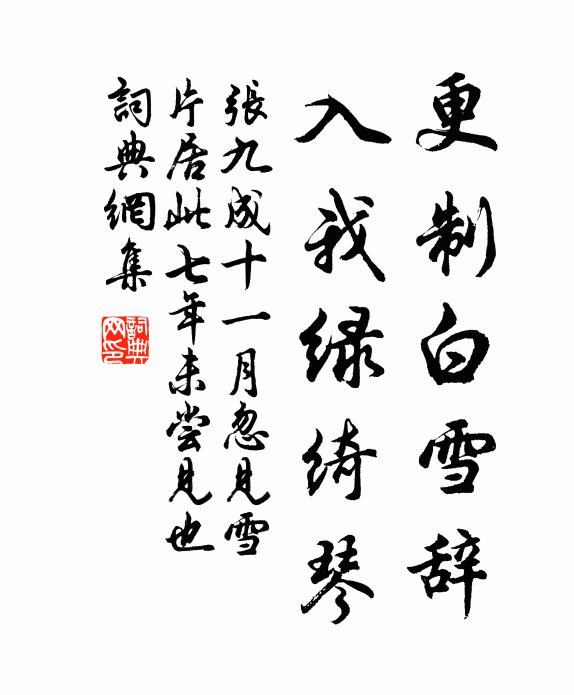 张九成更制白雪辞，入我绿绮琴书法作品欣赏