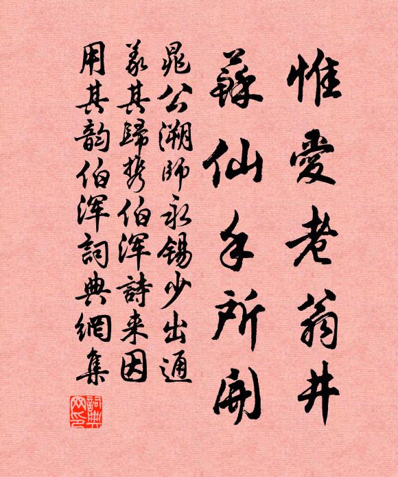 晁公溯惟爱老翁井，苏仙手所开书法作品欣赏