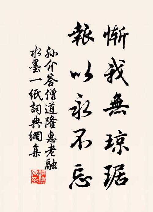 孙介惭我无琼琚，报以永不忘书法作品欣赏
