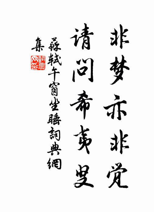 苏轼非梦亦非觉，请问希夷叟书法作品欣赏