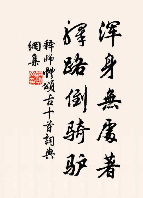 释师体浑身无处著，驿路倒骑驴书法作品欣赏
