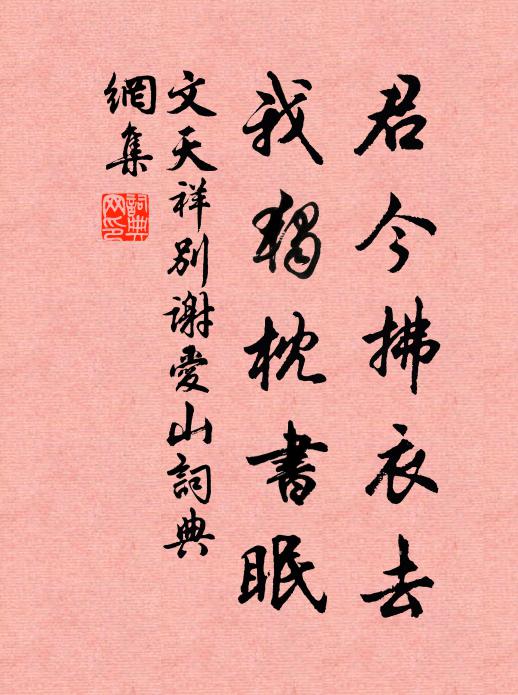 文天祥君今拂衣去，我独枕书眠书法作品欣赏