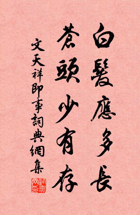 文天祥白发应多长，苍头少有存书法作品欣赏