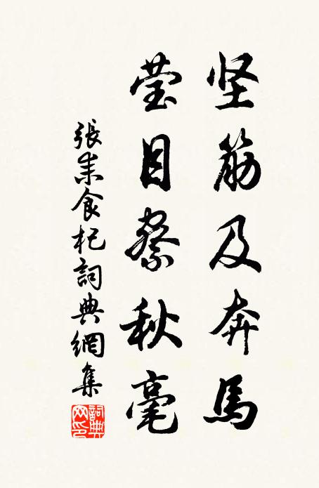 张耒坚筋及奔马，莹目察秋毫书法作品欣赏