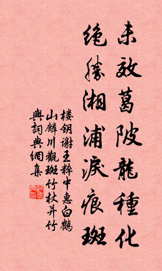 楼钥未效葛陂龙种化，绝胜湘浦泪痕斑书法作品欣赏
