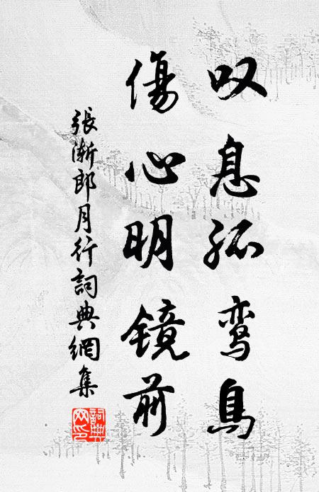 张渐叹息孤鸾鸟，伤心明镜前书法作品欣赏